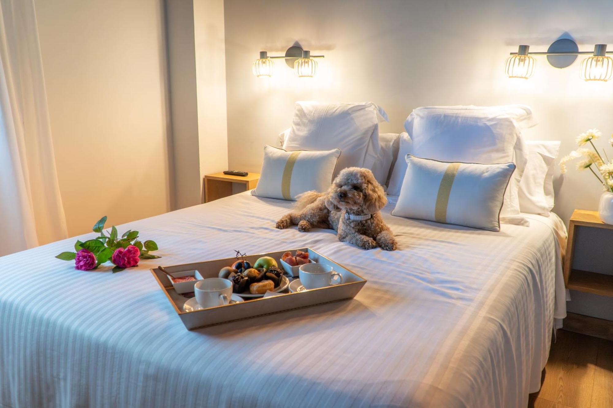 Don Pablo Hotel Pechon